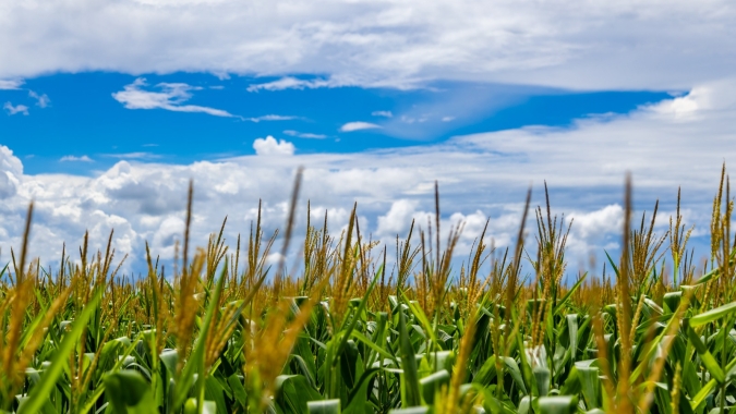 Aprosoja MT repudia a MP 1.303/2025 e se une à FPA e à Faep na defesa do financiamento do agro