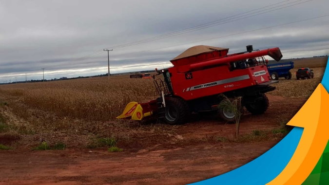 Chuvas interrompem trabalho de colheita do milho safrinha em Laguna Carapã (MS)