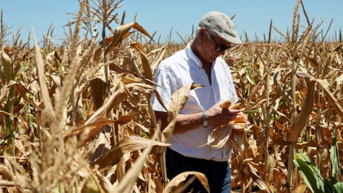"Não vai voltar": agricultores argentinos enfrentam seca e colheita em declínio