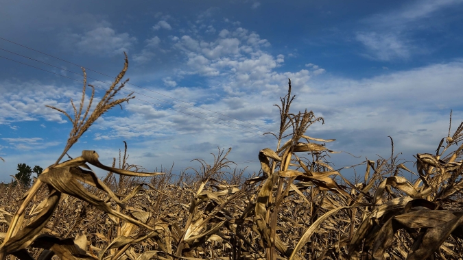 IDR-Paraná alerta sobre impactos de La Niña no desempenho da safra 2021-2022