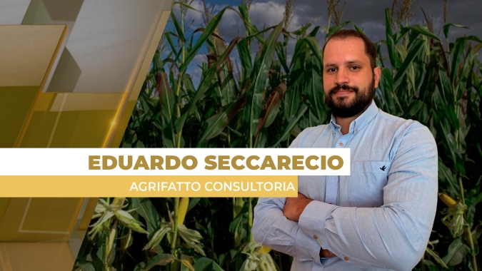 Safrinha conta com boas condições climáticas e preços do milho no Brasil têm semana de queda; Chicago de olho no Corn Belt