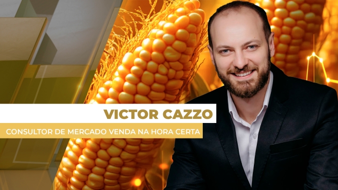 Colheita, clima, USDA e petróleo pressionaram e futuros do milho acumularam desvalorizações ao longo da semana