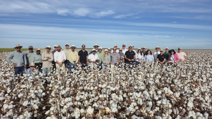 Produção sustentável de algodão no Oeste da Bahia ganha destaque em missão internacional