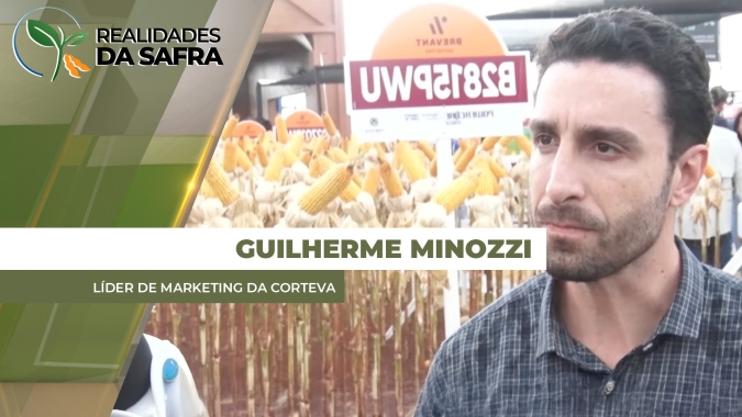 Escolha do híbrido de milho também pode ajudar no controle dos nematoides em todo o sistema produtivo