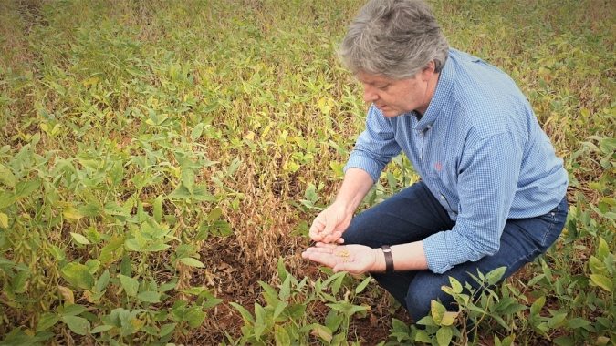 Mato Grosso do Sul cria a Lei que Institui o Programa Estadual de Bioinsumos