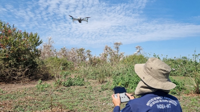 Gripe aviária: MT reforça vigilância ativa em animais silvestres do Pantanal