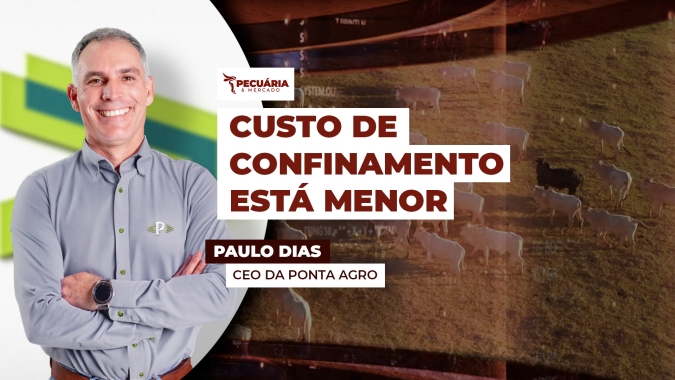 Queda nos custos de confinamento está relacionada à redução nos preços do milho no Centro- Oeste