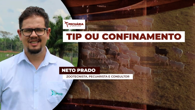 Conheça os fatores que ajudam a definir a melhor estratégia de intensificação da produção pecuária