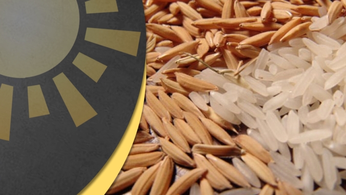 Preços do arroz enfraquecidos no BR com oferta e mercado se estabilizando