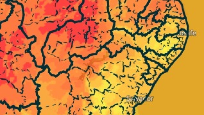 Calor intenso e pouca chuva mantêm preocupação no interior do Nordeste