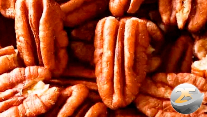 Colheita da noz pecan se aproxima do fim com queda de produção, mas recorde de qualidade