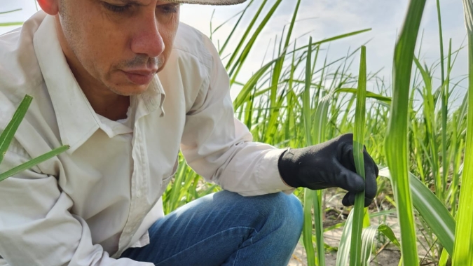 Indústria de bioinsumos amplia ações de controle de qualidade para sustentar crescimento do setor e promover maior eficiência no campo
