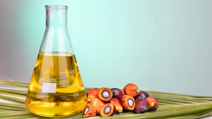Indonésia realiza estudos para implementar mistura de 50% de biodiesel em 2026
