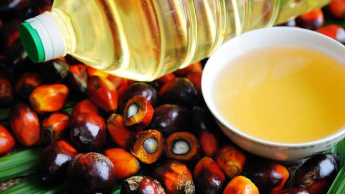 Óleos vegetais entram em severa trajetória de baixa liderados pelo óleo de palma; semana acumula baixa de mais de 5%