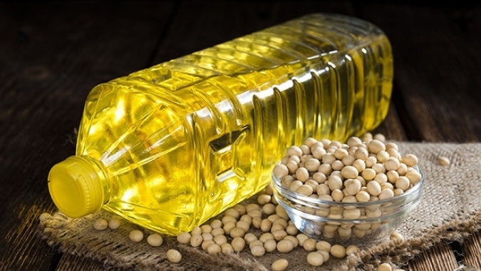 Mercado global de soja e óleos vegetais: relatório aponta tendências para China, EUA, Brasil, Argentina