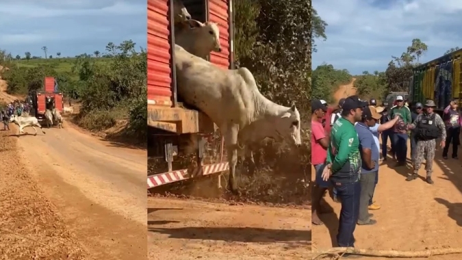 Pasto Nullus: FAEPA avalia medidas judiciais e administrativas para proteger e garantir os direitos dos produtores rurais do Pará