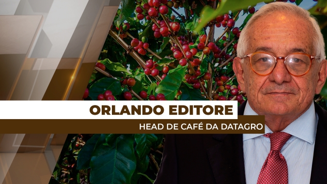 Mesmo com a colheita de café da safra/25 avançando no Brasil, comercialização no mercado físico segue lenta