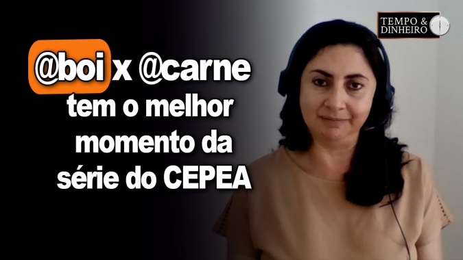 Boi gordo: @boi x @carne tem o melhor momento da série do Cepea para frigoríficos