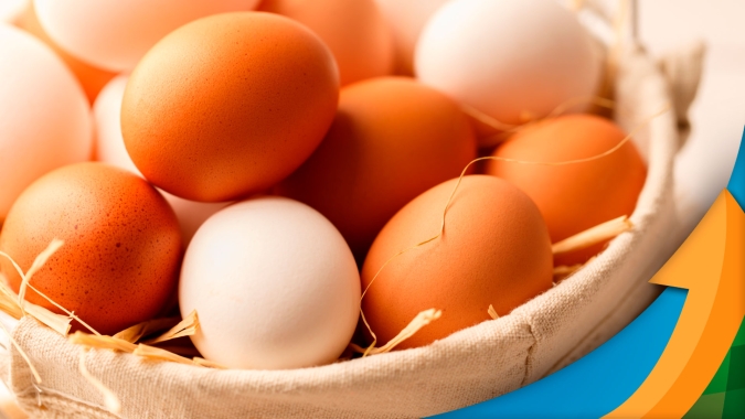 Dúzia de ovos na granja aumentou 4,4% em março, ao consumidor 10,1%
