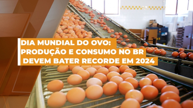 No Dia Mundial do Ovo, Brasil tem motivos para comemorar, com previsão de  recorde na produção e no consumo per capita