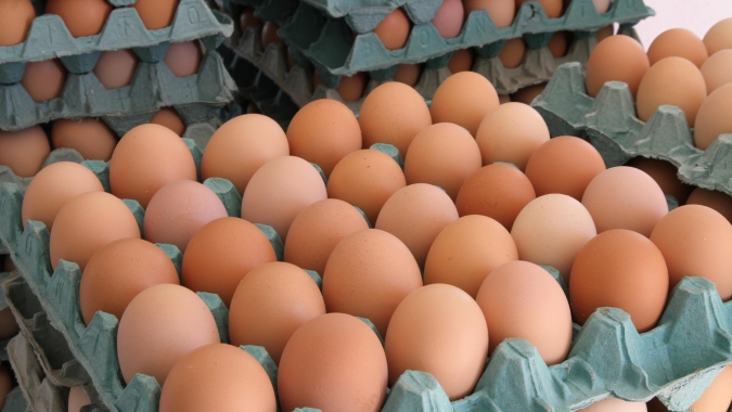 Ovos/Cepea: Produção desacelera, mas cotações seguem enfraquecidas