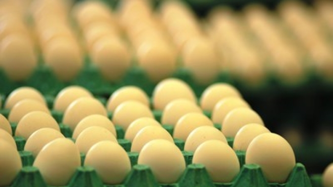 Ovos: produtores sofreram nova baixa, a segunda consecutiva na semana