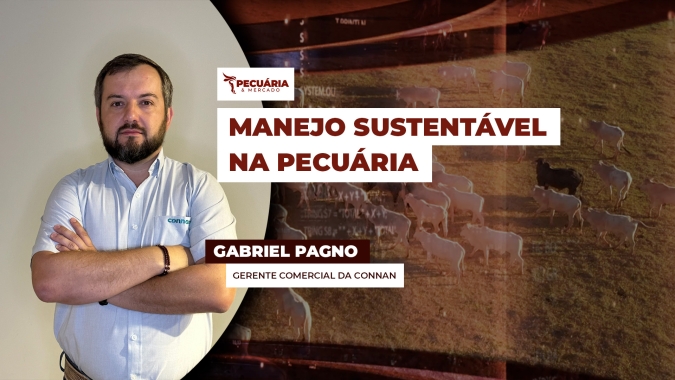 Sequestro de vacas de cria ganha força como estratégia de manejo durante a seca