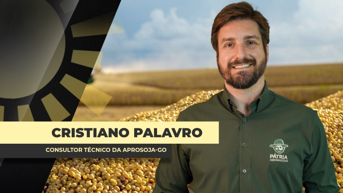 Soja 26/27: Estoques globais devem seguir ajustados mesmo com oferta maior nos principais produtores