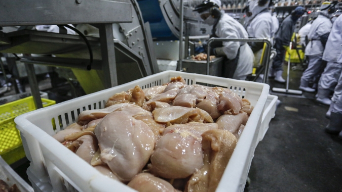 Exportação de carne de frango tem aumento de 29,59% no faturamento por média diária na comparação com novembro do ano passado