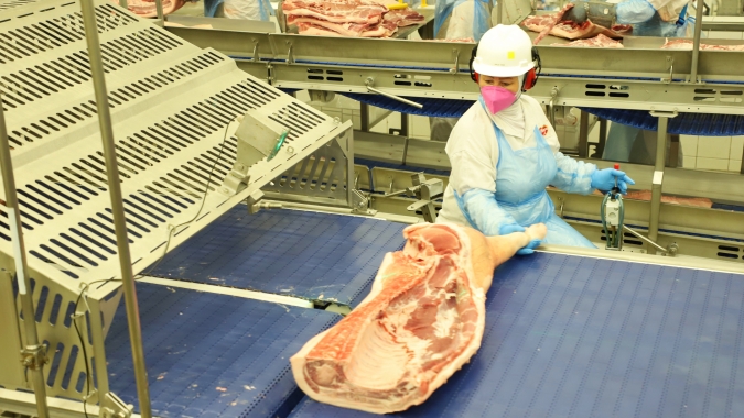 Embarques de carne suína crescem 4,7% em agosto