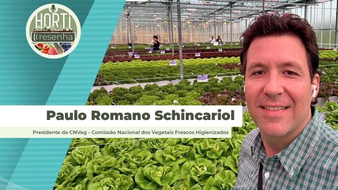 HORTI RESENHA #76 - Setor de saladas  prontas está em  crescimento
