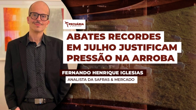 Julho registra o maior volume de abates de animais da história  com 3,75 milhões de cabeças