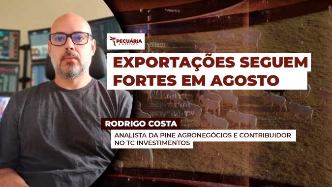 Depois do recorde em julho, primeiros seis dias de agosto também registram bom desempenho nas exportações, mesmo após tarifaço