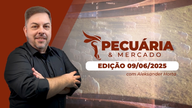 Pressão de oferta da safra de boi está diminuindo, o que aumenta tendência de alta para arroba