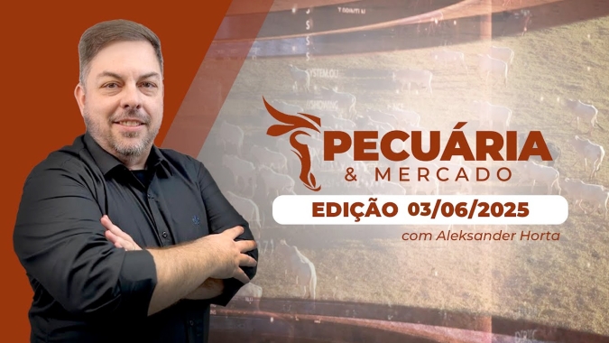 Pecuaristas pedem mais pela arroba do boi e negócios travam em SP; em MT preços reagem