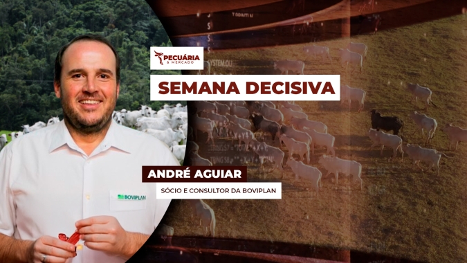 A necessidade de compra dos frigoríficos para a produção de início de mês pode estimular movimento de alta da arroba