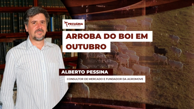 Fatores que podem direcionar os preços da arroba do boi em outubro