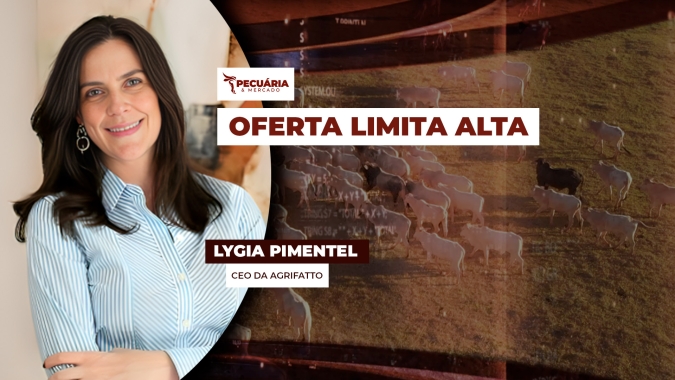 Com volume maior de animais confinados e abate ainda elevado de fêmeas, arroba tem encontrado dificuldade para subir