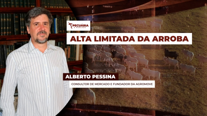 Alta da arroba em setembro vai depender do volume de carne disponível; IBGE confirmou maior oferta por carcaça mais pesada