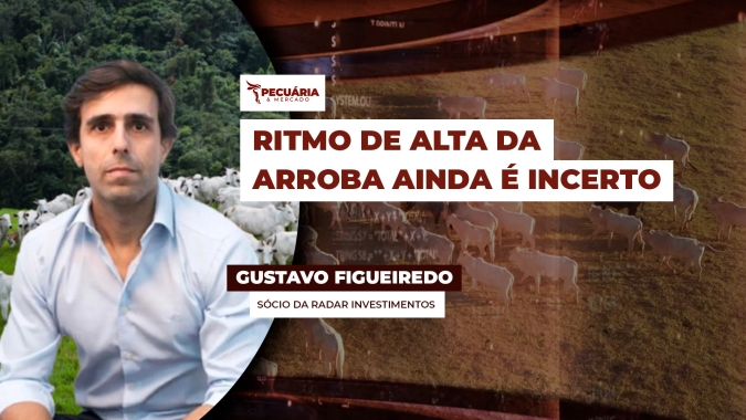 Arroba do boi atinge piso, mas recuperação dos preços ainda é incerta