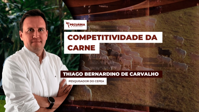 Com preço médio de US$ 57, Brasil segue com uma das carnes mais baratas do mundo; cenário de oferta limitada e valores atrativos pode impulsionar exportações