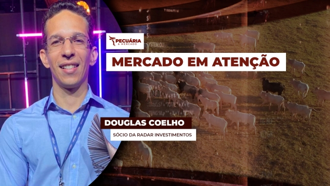Praças como MG e GO sinalizam melhora nos preços da arroba enquanto SP ainda trabalha com escalas longas