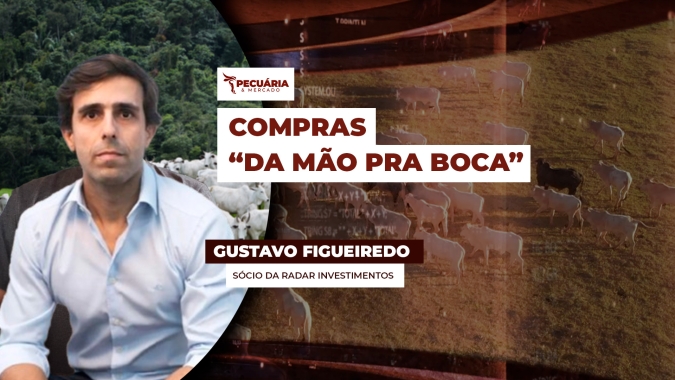 Frigoríficos vão às compras, negociam apenas o necessário para o abate e evitam inflacionar arroba do boi