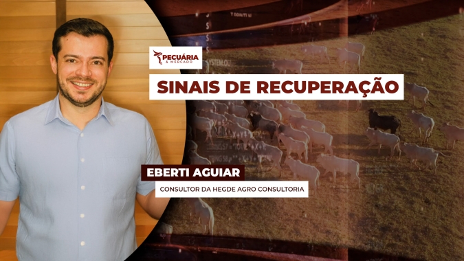 Principais indicadores sinalizam movimento de alta para arroba