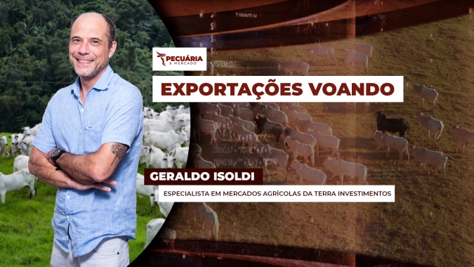 Demanda interna lenta e boa oferta de animais seguram preços da arroba, apesar do ótimo resultado das exportações