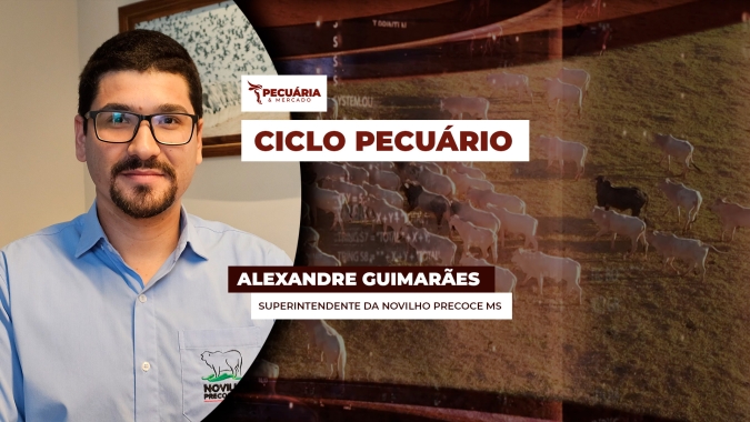 Mudança de ciclo eleva preço do boi e abre novas oportunidades para produtores