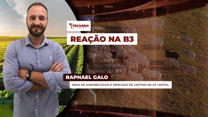 Arroba do boi gordo  na B3 dá sinais consistentes de alta e movimento pode se intensificar no último trimestre