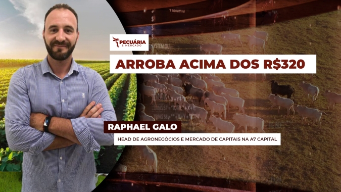 Levantamento dos últimos 15 anos mostra aumento médio de 3,5% da arroba em setembro, o que permite projetar boi de R$324