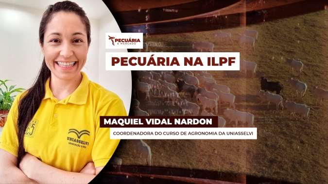 A cada R$1 investido no sistema ILPF , o retorno pode superar R$3, com ampliação da produtividade e redução nos custos de produção