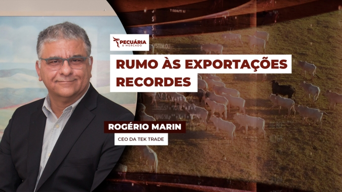 Exportações brasileiras de carne bovina seguem vigorosas, apesar de tarifaço americano
